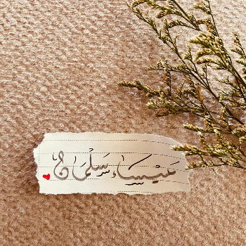 ميساء اديب سلمان